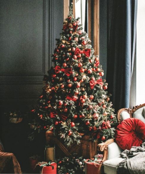 Winterwunder Weihnachtszeit | das Buch 2023