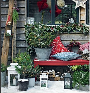 Winterwunder Weihnachtszeit | das Buch 2023