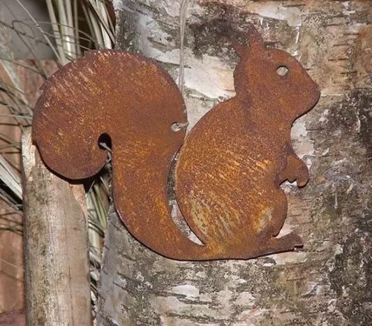 Eichhörnchen Stellen oder Hängen | Edelrost