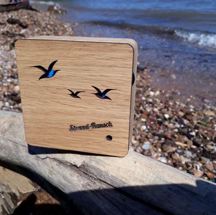 Klang Bewegungsbox - Meer Strand Möwen