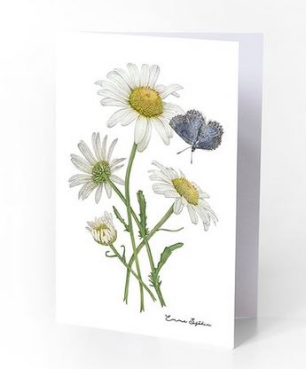 Glückwunschkarten Botanic | Blumen und Schmetterlinge aus Schweden