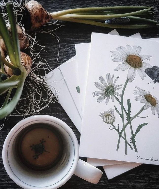 Glückwunschkarten Botanic | Blumen und Schmetterlinge aus Schweden