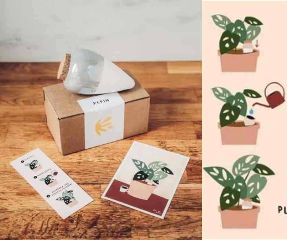 Pflanzenbewässerer "Olla" aus Ton