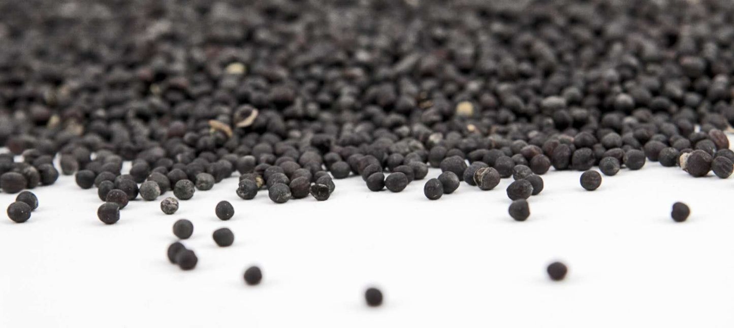 Kinderkissen Raps "Mein Liebling"