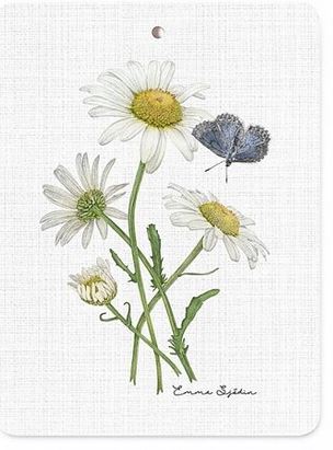 Schneidbetter Botanic | Blumen und Schmetterlinge aus Schweden