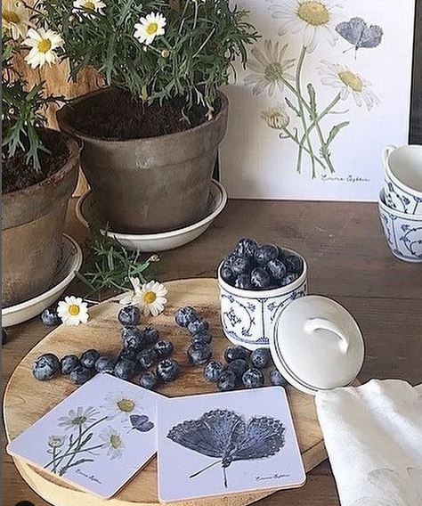 Untersetzer Botanic 4-Set | Blumen und Schmetterlinge aus Schweden
