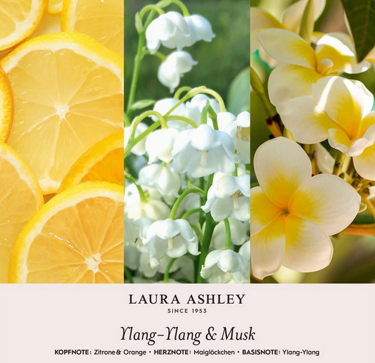 Duftanhänger  Ylang Ylang Laura Ashley